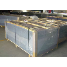 Galvanized Welded Wire Panel in Electro or Hot-Dipped